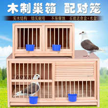 鸽具鸽子配对笼种鸽笼赛飞巢箱繁殖笼松实木制养殖笼木质鸽窝