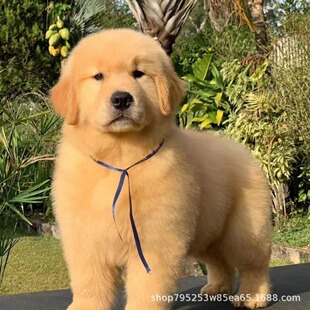 ���N��ë��Ȯ�pѪ�y��ëȮ��Ǽ�����������Ȯ��äȮ���ﹷ�����w