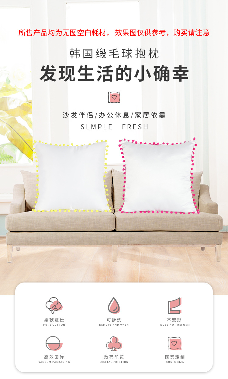 韩国缎毛球抱枕_01.jpg