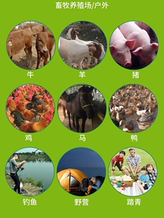 J8 Mosquito, fly, mosquito, fly, livestock, moth, mosquito-repellent incense for pig, animal husbandry, pig, chicken, animal mosquito repellent, wormwood cattle farm g3