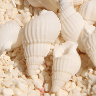 ?С΢���^��̨DIY������Ȼؐ�����ݠ��N�~���쾰�b���