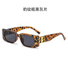 Fashionable trend brand glasses solar-powered, sunglasses suitable for photo sessions suitable for men and women