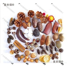 ɻb޻ɹ֦~ɏ׃@ֹh̫