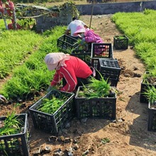 �����ֲ��ر��Gֲ�҃����������^���ݳ��G�������ͥԺ�G������