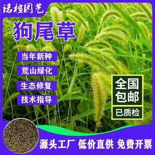 �S�����l��β�ݷN�ӹ�β�Ͳ���β�ݲ��ѾG�������o�;G�ݷN