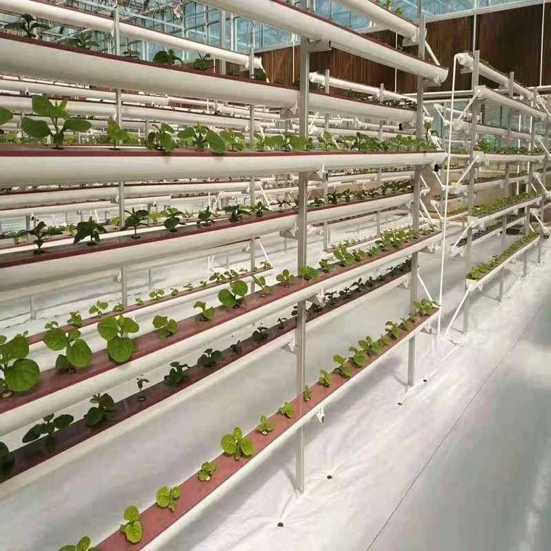 Venta de instalaciones de cultivo sin suelo tubo semicírculo hidropónico plantación agrícola 110 tubo sistema de cultivo sin suelo