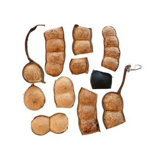 ����Ϙ}�ٴ��v�����޶����޶��ֹ�DIY�}�ٶ��v�����Ϲ�������