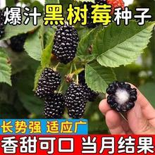 ԘݮNӷN縲Ӵݘ{ݮt÷ݘݮ