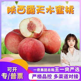 粽子;瓜果类;桃子
