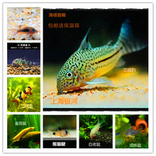 ���~�ח��~�����~�����~�����������̦��������~�Ꭷ�~���w