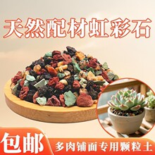 多肉彩虹石纯颗粒土绿沸石火山石麦饭石虹彩石多肉专用植物铺面石