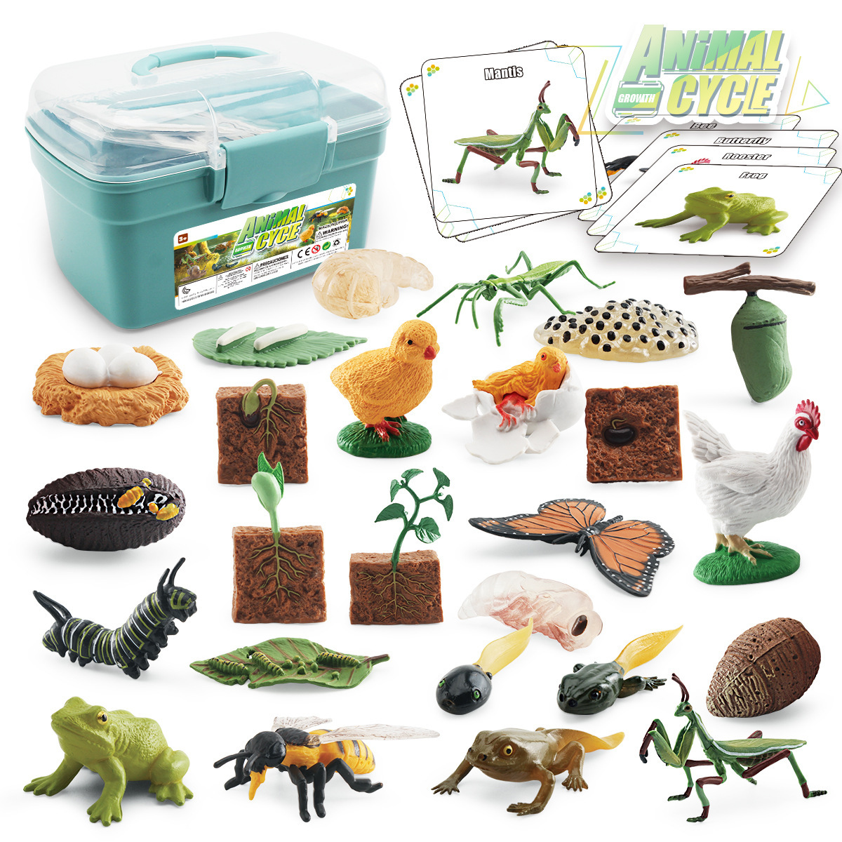 Simulación transfronteriza planta mariposa abeja Gallo Mantis Rana modelo animal y planta crecimiento ciclo caja de almacenamiento traje