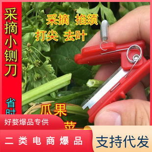 Small guillotine picking artifact finger picking ring knife picking vegetable picking tool picking beans grape pinch beard tip picker
