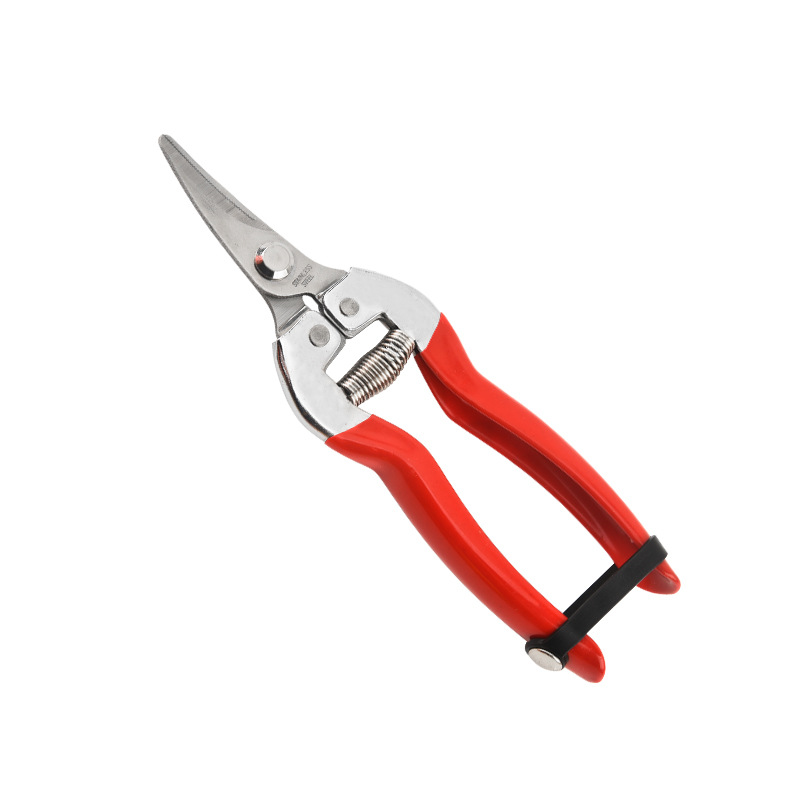 철제 손잡이가 있는 직선형 플라스틱 담근 가위