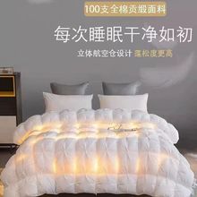 羽绒被95白鹅绒加厚保暖冬被子厚被单双人棉被芯五星级酒店外贸