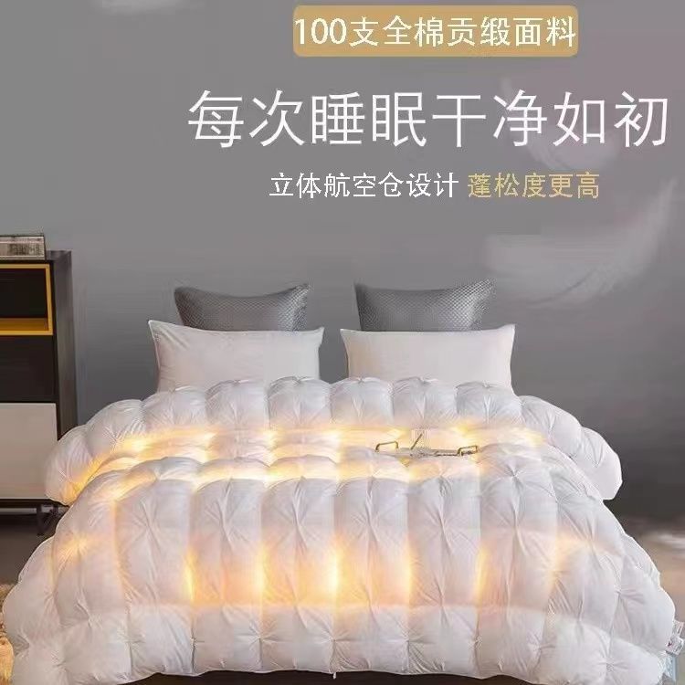 羽绒被95白鹅绒加厚保暖冬被子厚被单双人棉被芯五星级酒店外贸