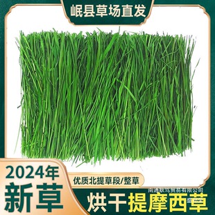 ����Ħ���ɲݕ�ɺ��ȫ�~�������ӼZ��؈������m�i�������