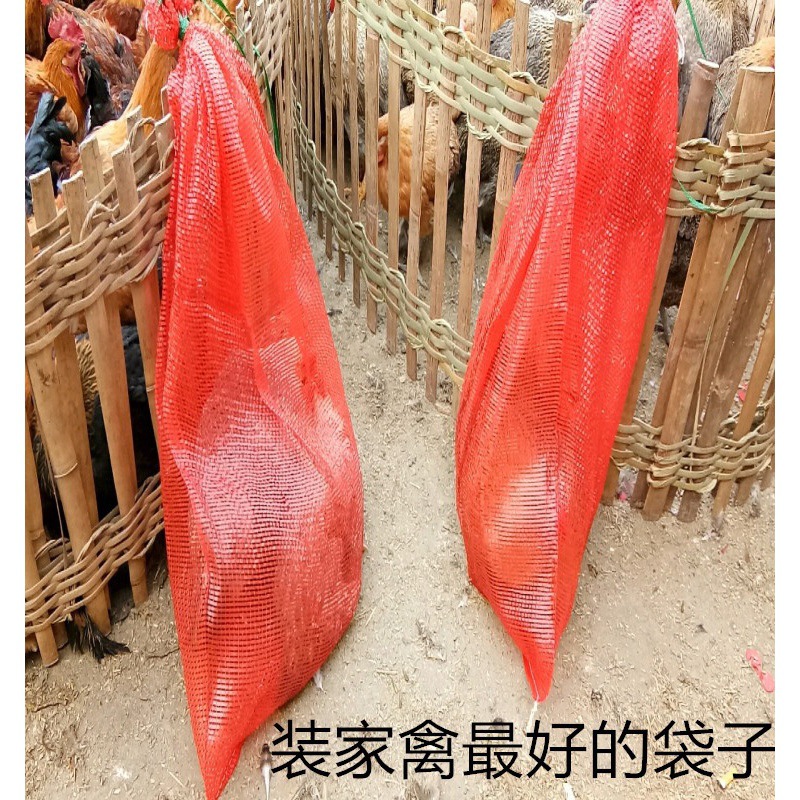 大量批发网袋子批发装鸡大蒜洋葱玉米编织袋南瓜网格袋土豆网兜活