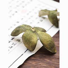 �Ļ���Ƥ��ș����Ƥ����Ƥ����Ƥ���ƤС���Ƥ����Ƥ�����r��؛