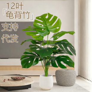 �羳����Gֲ�������辰�Ҿ���ؔ[����c�b٘�@���쾰�ٻ�