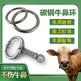 牛鼻圈牛鼻环免打孔不锈钢拉牛鼻子扣养牛神器设备牵牛栓用品大全