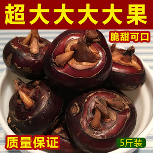 ���r�R������r��ݩ�j�خa�����ش��߲˵����֭��������ˮ���F��