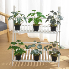 �����衿����Gֲ���� ����[�҃��b��� �Ӽ������ٻ��[���辰