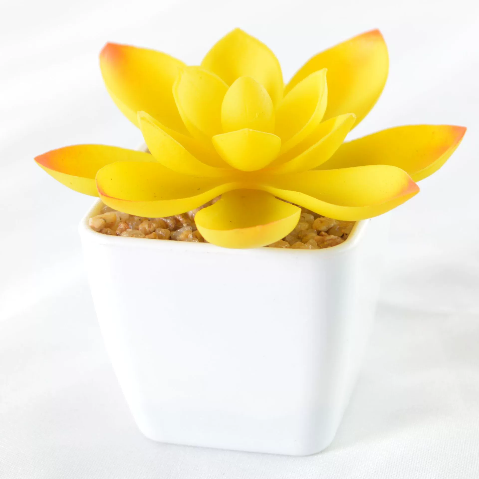 Simulation plastic small white pot simulation of succulent plants potted bonsai square pot