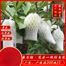 �W���Ř��״���ʯ����x��������ˮ�����o���Ӻ�һ�w���x�״�