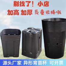 �I�B�����籭Ě�ȱ����ٱ����L���κ�ɫ�Ӻ�Ӹ����ϷNֲ��������