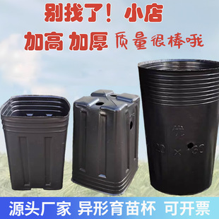 �I�B�����籭Ě�ȱ����ٱ����L���κ�ɫ�Ӻ�Ӹ����ϷNֲ��������