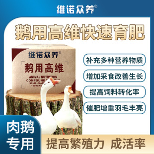 �Z�ø߾S ������ӄ��a�I�B�������L�߷ʫF�ö�N�S�����Z�A����