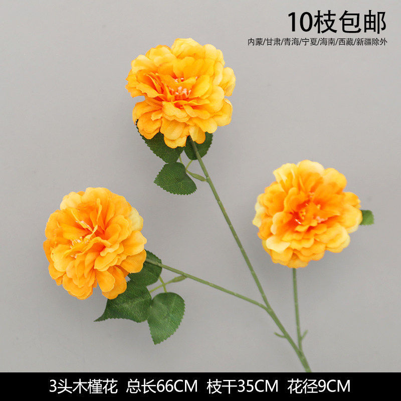 3头木槿花