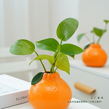 �¿��մ����ӻ�ƿ�Bˮ�G�jˮ�໨��Ҿ����[�b[�����ֵ��@�L