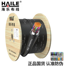 HYA-100*2*0.4室外100对大对数线缆电话线市话语音通信线缆100米