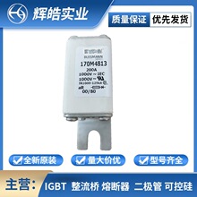 170M4813/170M4824/170M4956 �۔��� �۔������ ���U�z ����ģ�K