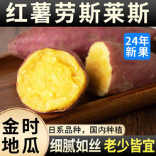 妮娜之恋金时地瓜红薯粗粮薯香甜番薯年货节送礼盒净重2.25kg 源