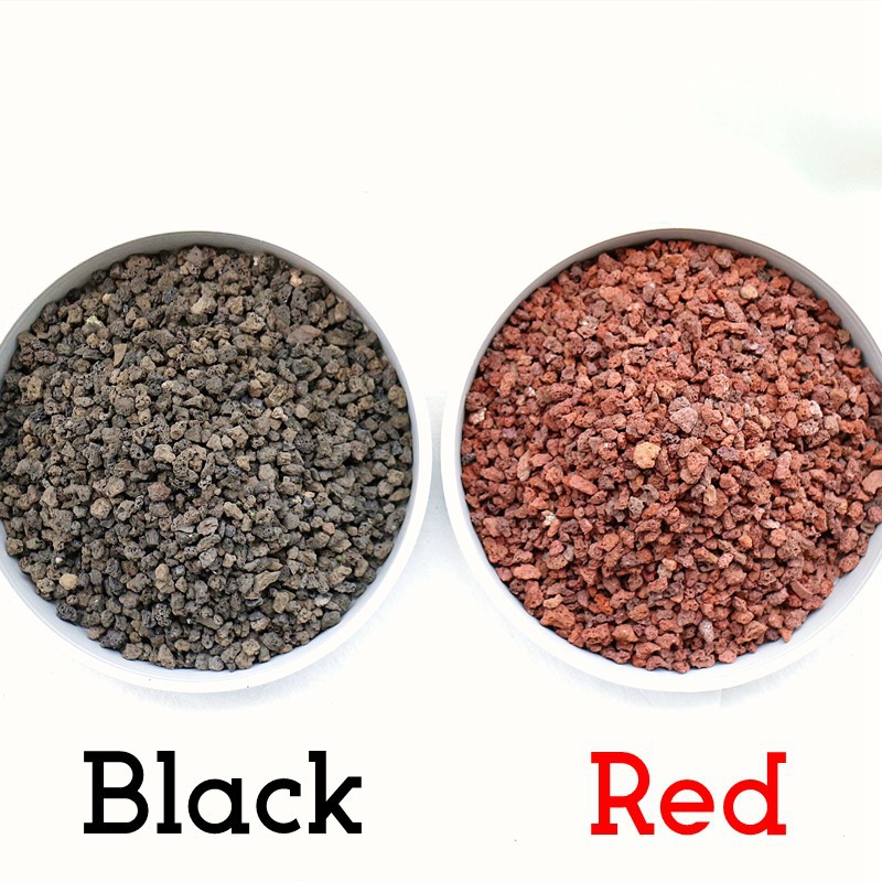 O1CN01MiQtbg25t3yYSy9P7_!!2030