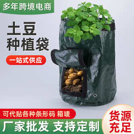 厂家直销pe土豆袋土豆种植袋 圆形透气植物园艺栽培蔬菜水果种植