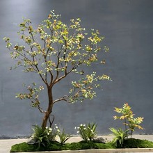 溣u٘쾮҃ȾGֲkֲﾰ^b쾰[