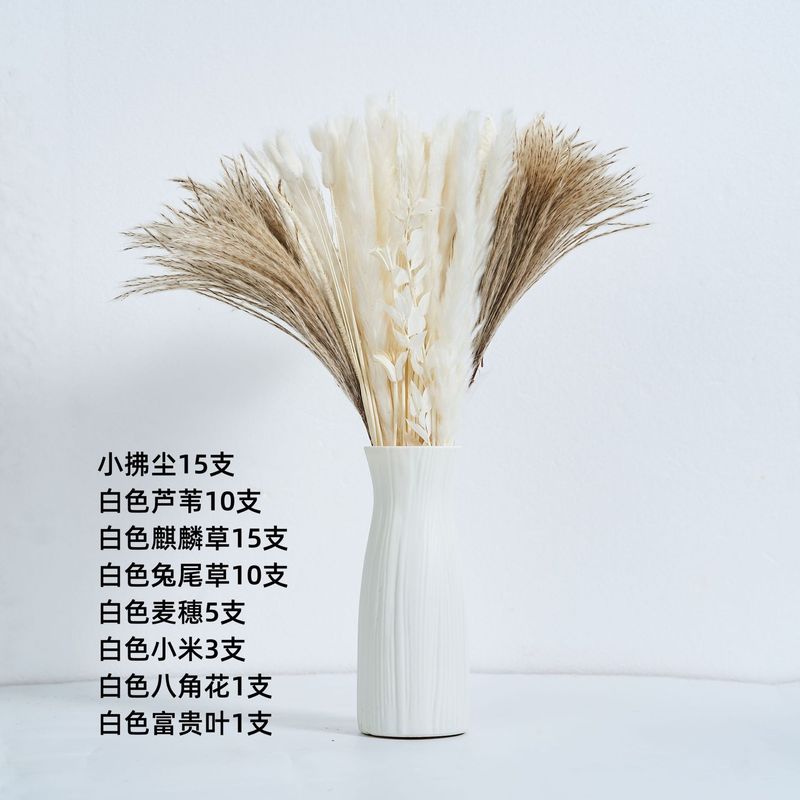 アマゾンはよく売れています。葦の花の花束です。|undefined