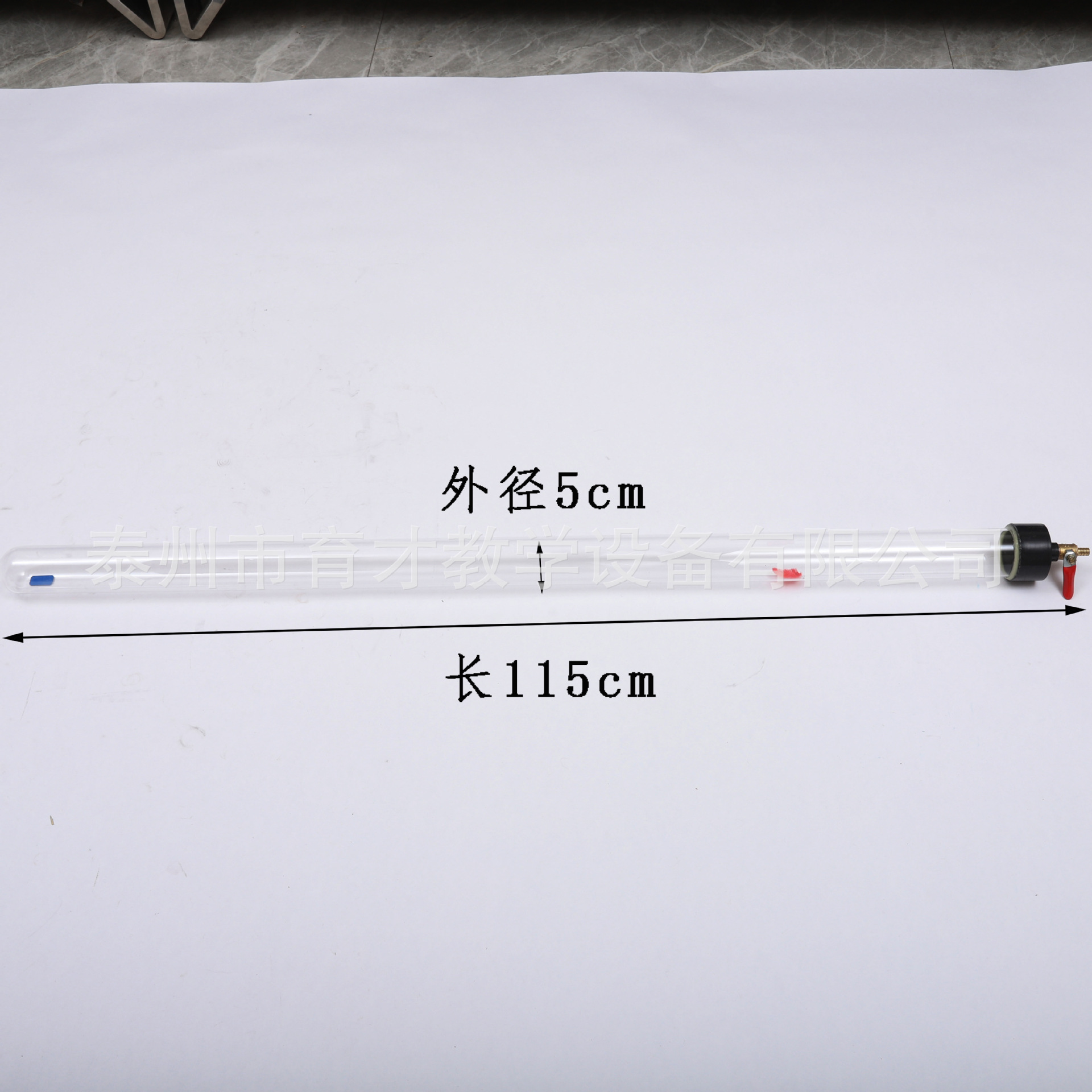 21046真空牛顿管带释放装置毛钱管自由落体高中物理教学仪器器材