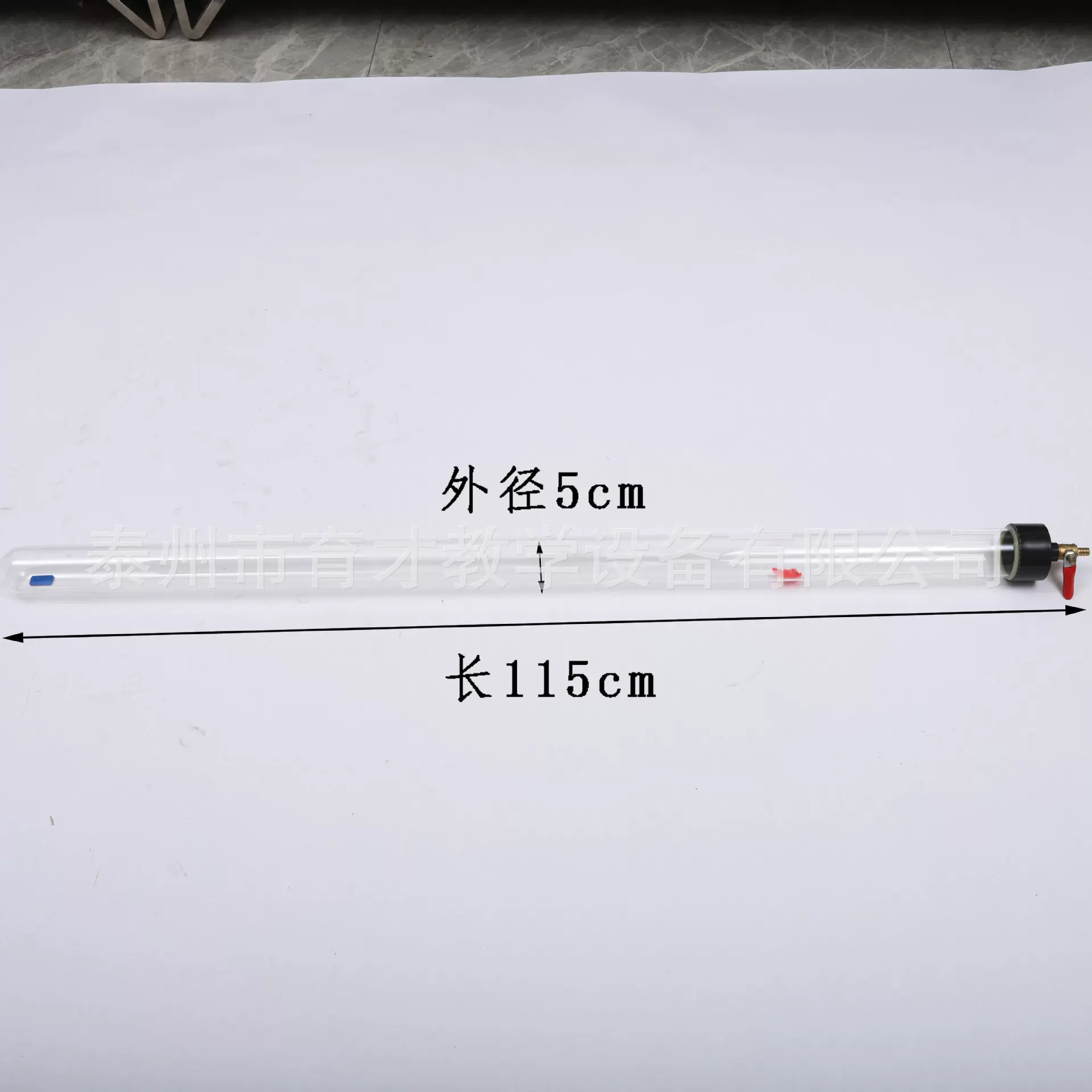 21046真空牛顿管带释放装置毛钱管自由落体高中物理教学仪器器材
