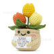 Amazon New Hand Crochet Apple Love Potted Positive Sunflower Peony Tulip Flower Pot Ornaments