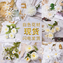 ɫϵٻƷ콁cûϻ߼лY