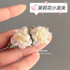 少女とジャスミンのレトロな雰囲気感があります。