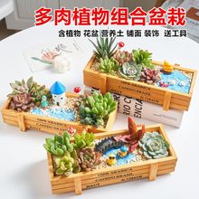 ����ֲ��������Ժ��躬��2025���괺��װ��Ʒ�������¿���ֲ����