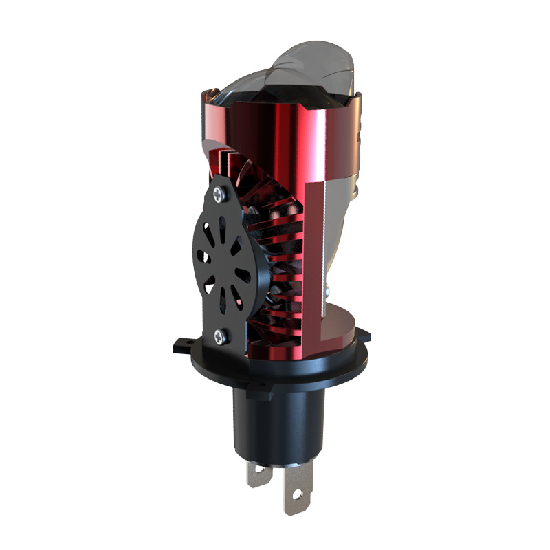 빨간색과 검은 색