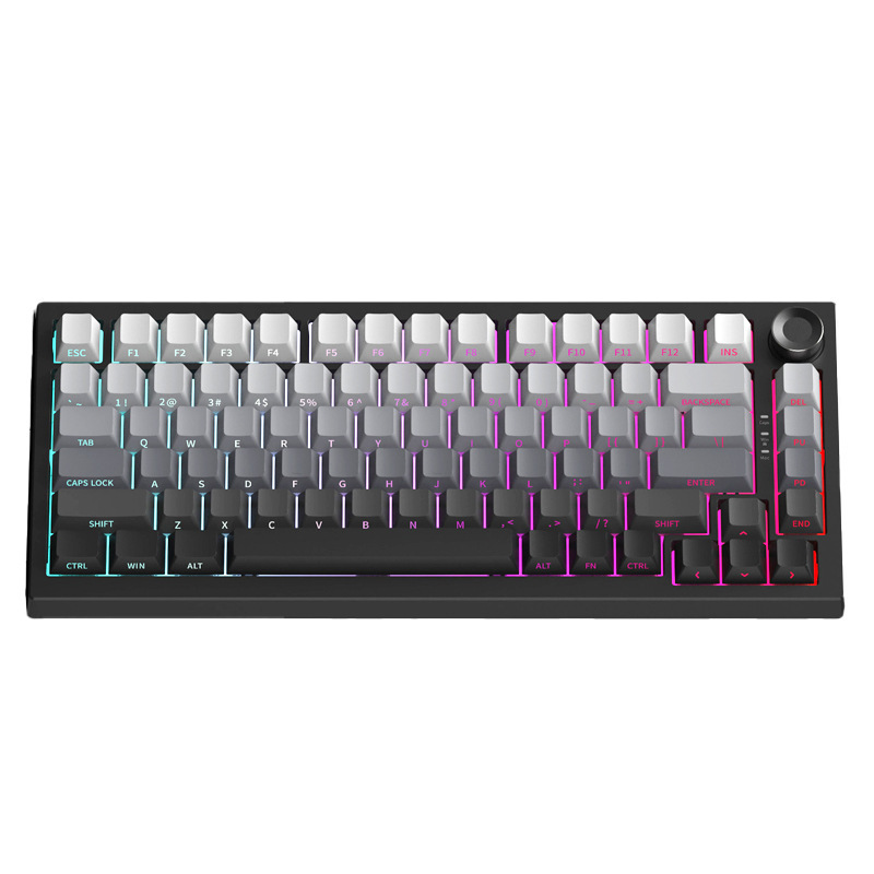越境工場直送 K81 カスタムメイド 三モード サイド刻印 メカニカルキーボード PBT ダブルカラー グラデーションキーキャップ カスタムRGB|undefined