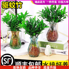 ��������ˮ��ֲ���҃ȿ͏dˮ�B�Gֲ���������k���������ļ����B